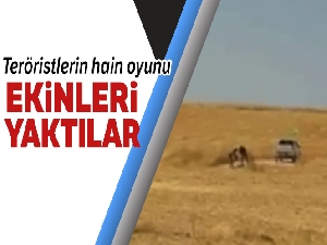 PKK/PYD terör örgütünün halkın ekinlerini yakma anı görüntülendi