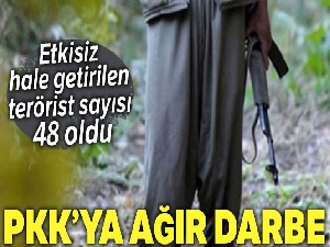 PKK'ya darbe, etkisiz hale getirilen terörist sayısı 48 oldu