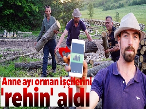 Anne ayı, orman işçilerini 'rehin' aldı