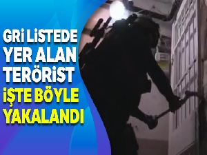 Gri listede aranan teröristin sığınakta yakalandığı anların görüntüsü ortaya çıktı