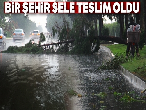 Aydın sele teslim oldu