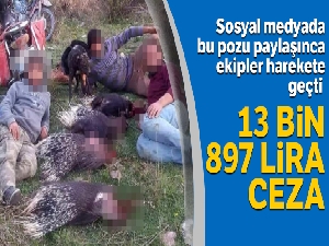 Avladıkları kirpilerle poz verdiler, 13 bin 897 lira ceza yediler