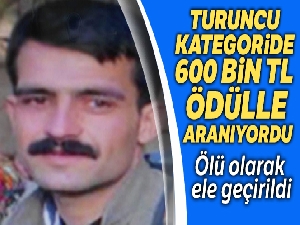 Turuncu kategoride yer alan terörist öldürüldü