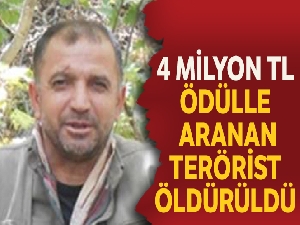 Bitlis'te 4 milyon TL ödülle Kırmızı kategoride yer alan terörist öldürüldü