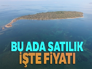105 milyon liraya satılık ada