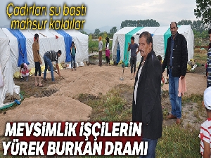 Mevsimlik işçilerin yürek burkan dramı
