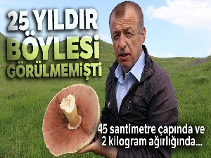 25 yıldır böylesi görülmemişti