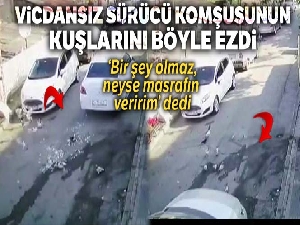Vicdansız sürücü komşusunun beslediği yavru kuşları aracıyla böyle ezdi
