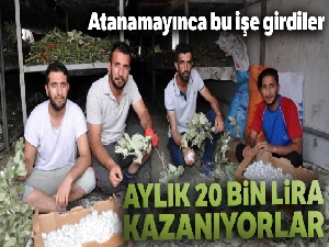 Atanamayınca ipek böceği işine girdiler, aylık 20 bin lira kazanıyorlar