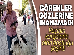 Yanından ayırmadığı keçisiyle evcilleştirdiği kargaları arkadaş oldu