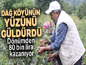 Dağ köyünün yüzünü güldürdü... Dönümden 80 bin lira kazanıyor