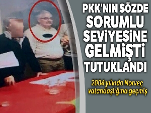 Norveç'te PKK'nın sözde sorumlu seviyesine gelmişti, Bingöl'de yakalandı tutuklandı