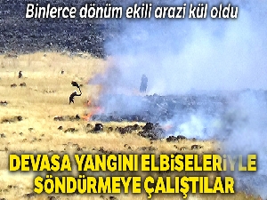 Devasa yangını elbiseleri ile söndürmeye çalıştılar
