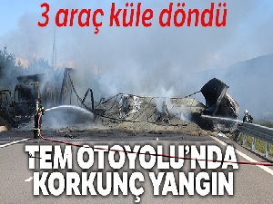 TEM Otoyolu'nda 3 araç alev alev yandı