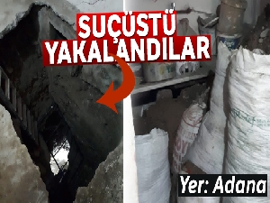 Define avcılarına suçüstü