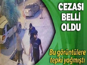 Ağacı kıran zanlının cezası belli oldu