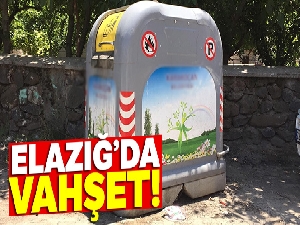 Ağlamasın diye halının altına koydu, ölen bebeğini çöpe attı