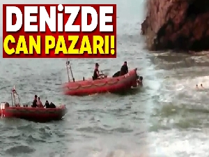 Denizde can pazarı   !