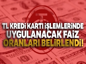 TL kredi kartı işlemlerinde uygulanacak faiz oranları belirlendi