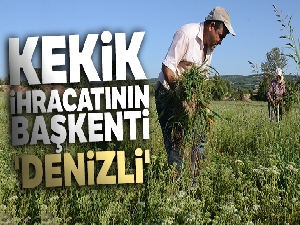 Kekik ihracatının başkenti 'Denizli'
