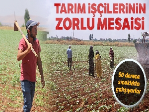 50 lira yevmiye ile 50 derece sıcaklıkta çalışıyorlar