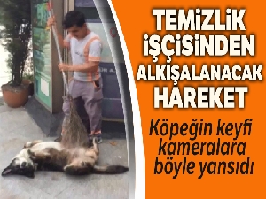 Temizlik işçisinden köpeğe masaj