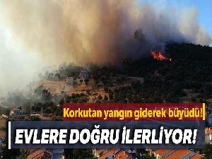 İzmir'deki orman yangını kontrol altında