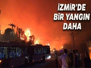 Dikili'deki yangının ardından bir yangın da Özdere'de