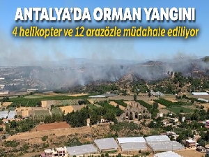 Antalya'da orman yangını kontrol altına alındı