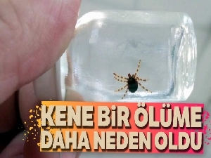 Kene bir ölüme daha neden oldu