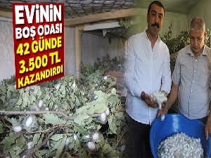 Evinin boş odası 42 günde 3,500 TL kazandırdı