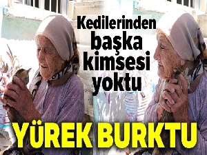 Otomobilin çarptığı kedisinin ardından gözyaşı döken yaşlı kadın yürek burktu