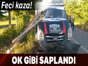 Isparta'da feci kaza: Pat pattaki demirler kamyonete ok gibi saplandı