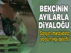 Bekçi ile ayının diyaloğu sosyal medyada yoğun ilgi gördü