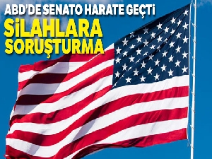 ABD'de senato harekete geçti: Silahlara soruşturma