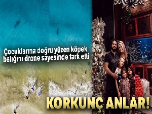 Çocuklarına doğru yüzen köpek balığını drone sayesinde fark etti