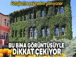 Bu bina görüntüsüyle dikkat çekiyor
