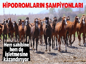 Hipodromların Şampiyonları Sultansuyu'nda yetişiyor