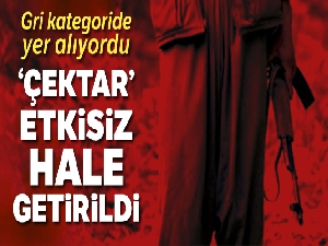 Gri listede aranan terörist Gabar Dağı'nda etkisiz hale getirildi