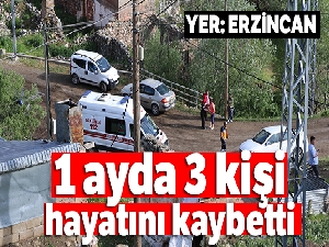 Erzincan'da son 1 ay içerisinde yıldırım isabet etmesi sonucu 3 çoban öldü
