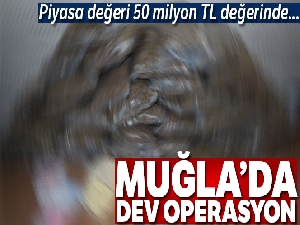 Piyasa değeri 50 milyon TL