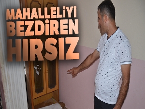 Mahalleliyi bezdiren hırsız, bebek arabasına kadar ne bulduysa çaldı