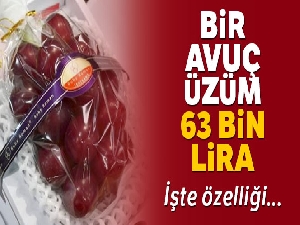 Japonya'da bir avuç üzüm 63 bin liraya satıldı