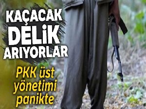 PKK üst yönetimi panikte