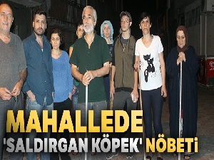 Mahallede 'saldırgan köpek' nöbeti