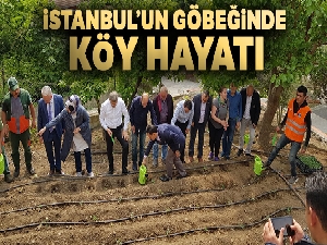 İstanbul'un göbeğinde köy hayatı