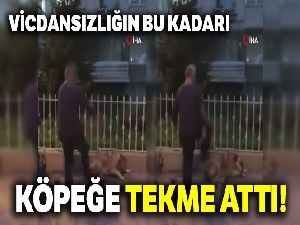 Köpeğe tekme atan şahıs kamerada