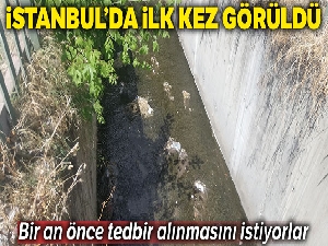 İstanbul'da, sivrisinekle gelen 'Batı Nil Ateşli Virüsü' tehlikesi