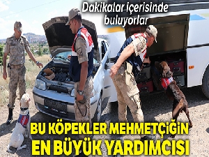 Bu köpekler Mehmetçiğin en büyük yardımcısı