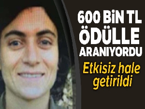 Diyarbakır'da 4 terörist etkisiz hale getirildi